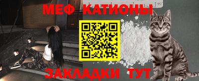 хмурый Кингисепп