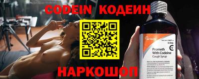 хмурый Кингисепп