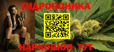 хмурый Кингисепп