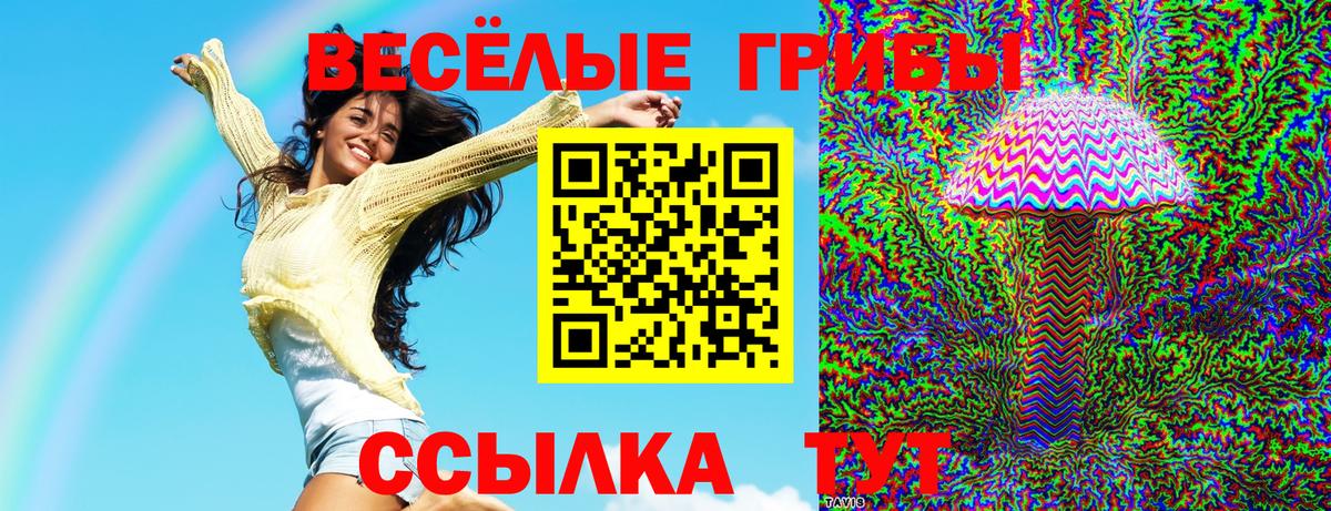 Красногорск  Псилоцибиновые грибы мицелий  Вход с VPN 