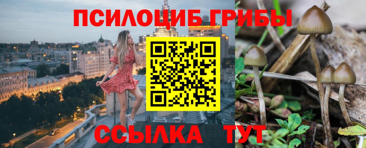 Псилоцибиновые грибы Magic Shrooms Красногорск